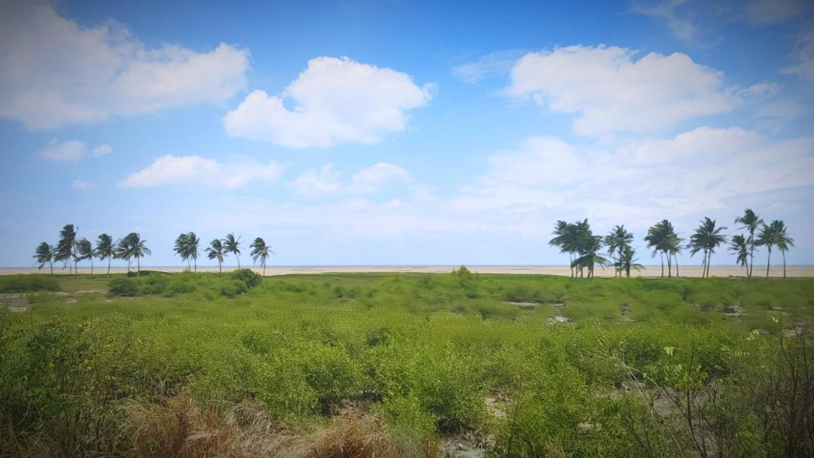 A&Y Wild Camp Ghana Keta Exterior foto